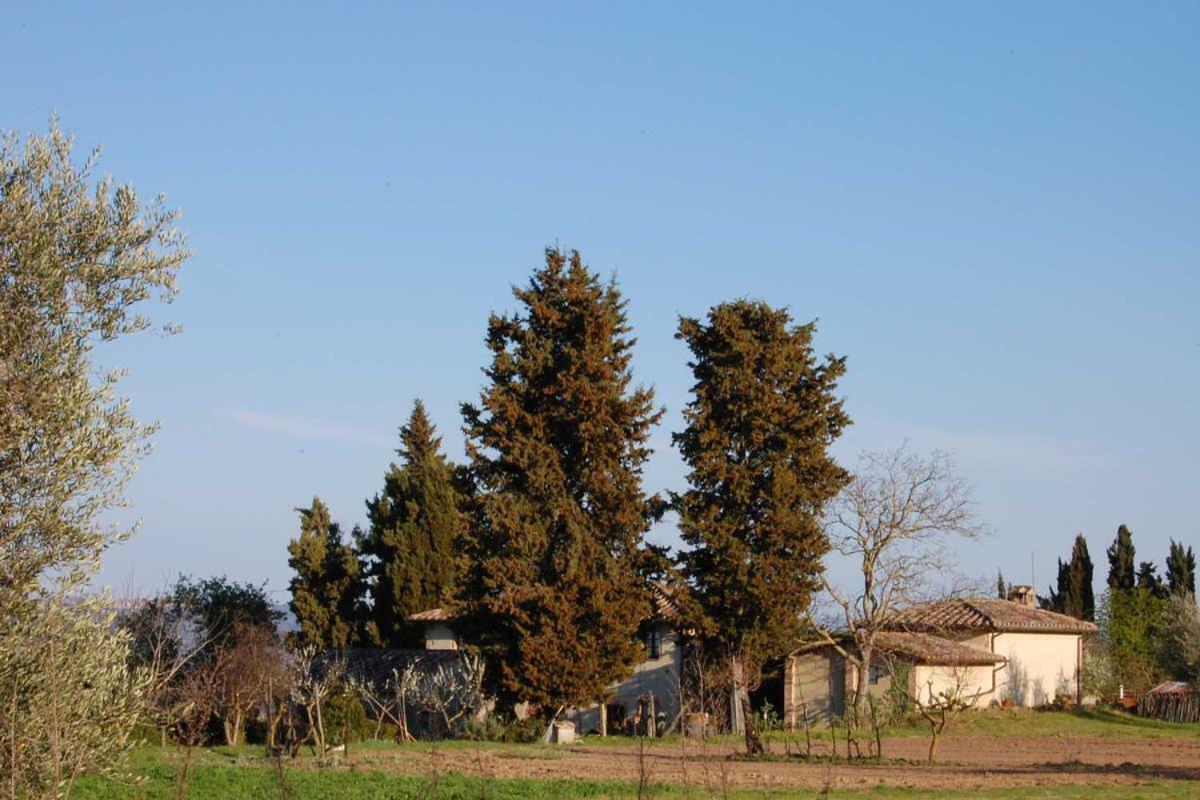 منزل الضيف سارتيانو  في Podere San Guglielmo المظهر الخارجي الصورة